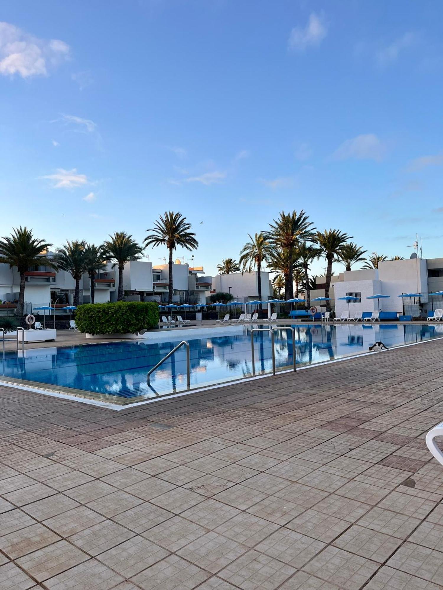 Piso F-primavera Gt Apartment